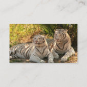 組の白いトラの名刺 名刺 (裏面)