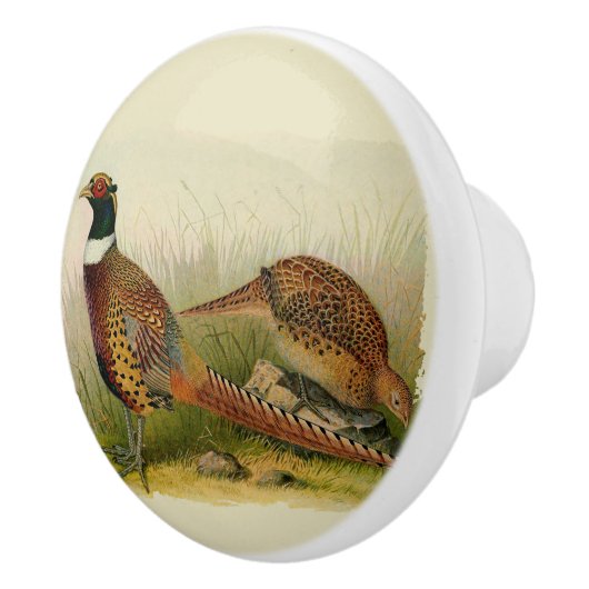 組の草が茂った分野のリングのネックのキジ セラミックノブ (右)