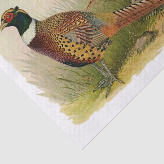 組の草が茂った分野のリングのネックのキジ 薄葉紙 (詳細)