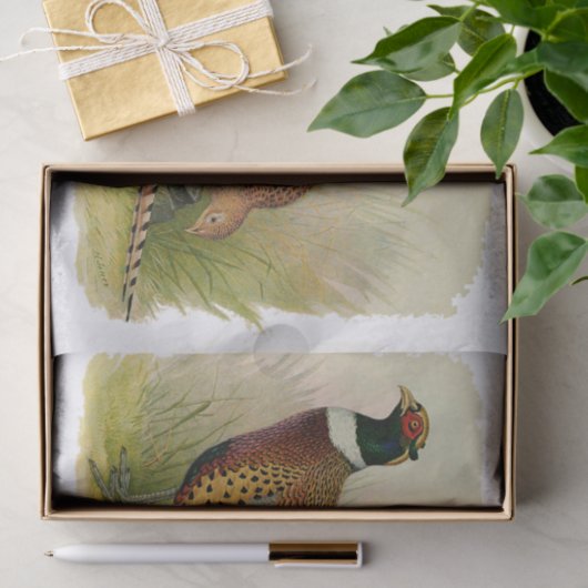 組の草が茂った分野のリングのネックのキジ 薄葉紙 (ギフト)