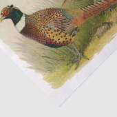 組の草が茂った分野のリングのネックのキジ 薄葉紙 (詳細)