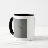 組の金ゴールドのイヤリング、Liaoの王朝 マグカップ (正面左)