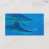 組の鮫の名刺 名刺 (裏面)