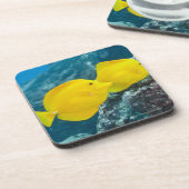 組の黄色い独特の味 コースター (左側)