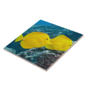 組の黄色い独特の味 タイル (側面)