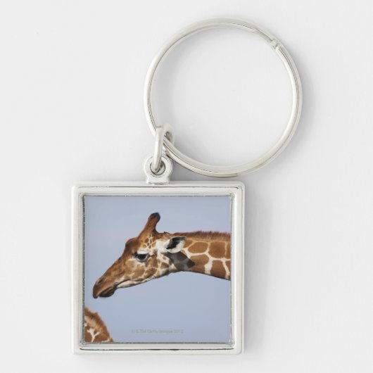 組のReticulatedキリン(Giraffa キーホルダー (正面)