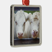 組のtrailorを食べ物を与えることの若く白い牛 メタルオーナメント (右)