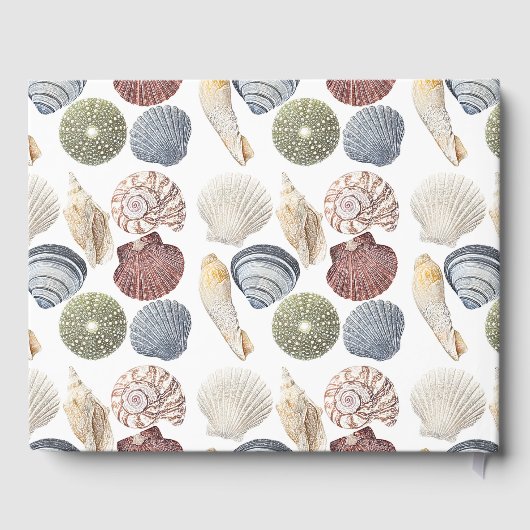 組み合わ数々のれた色の貝殻ビーチレンタル ゲストブック (裏面)