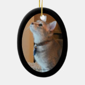 組み立てられた楕円形のオーナメント碧玉の子ネコの写真は2味方しました セラミックオーナメント (裏面)