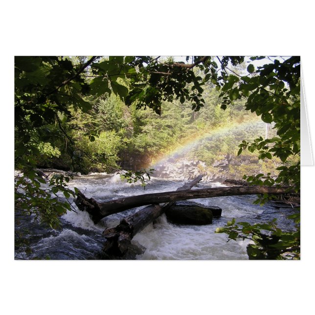 組み立てられた虹 (正面横)