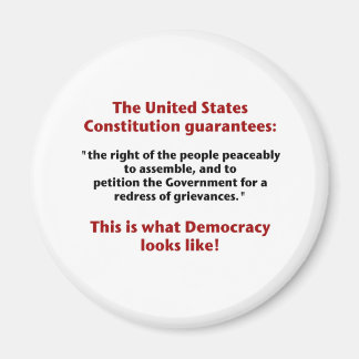 組み立てる権利 – 民主主義の様相 マグネット