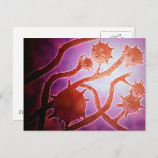 組織形成症の顕微鏡的見解 ポストカード (正面/裏面)