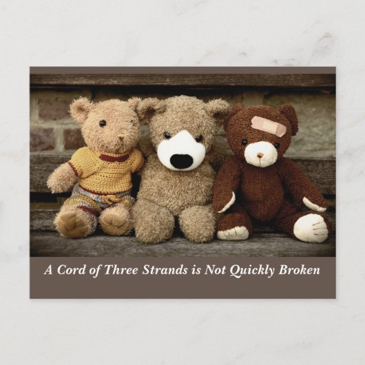 絆の力　伝道の書４章１２節 ポストカード (正面)