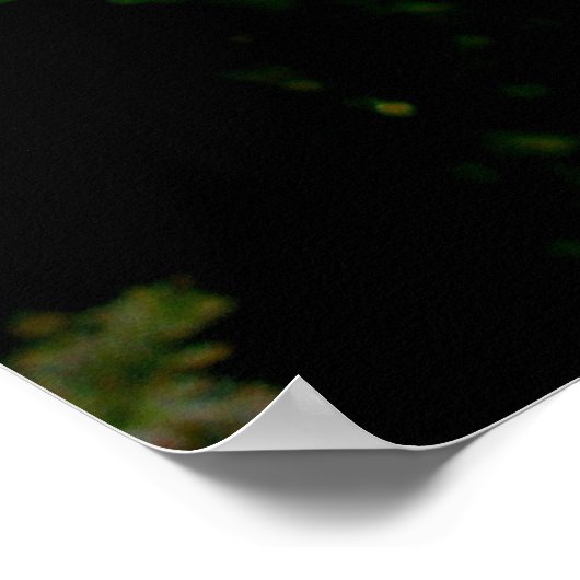 経由フローラ ポスター (角)