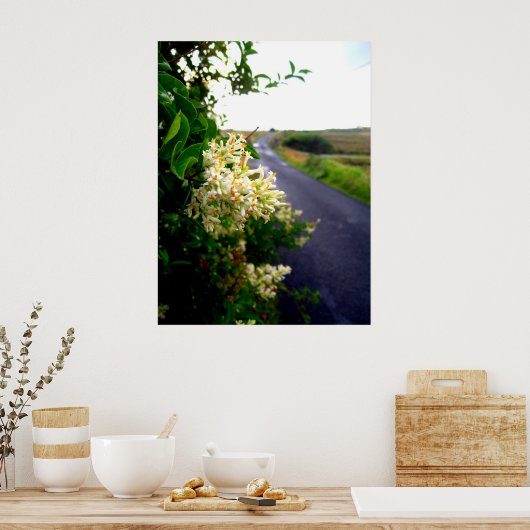 経由フローラ ポスター (キッチン)