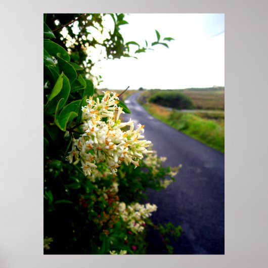 経由フローラ ポスター (正面)