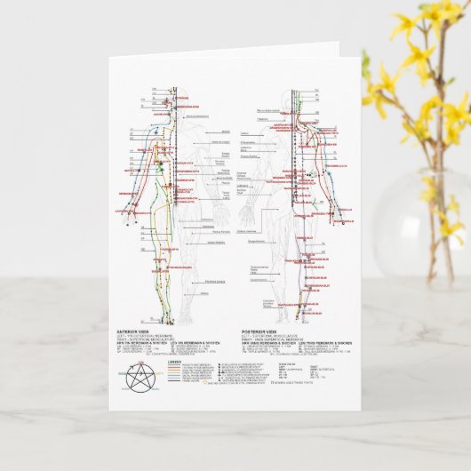 経絡の図 カード (黄色い花)