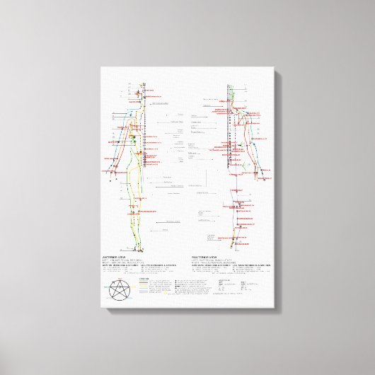 経絡の図 キャンバスプリント (正面)