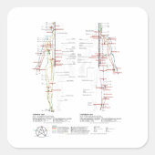 経絡の図 スクエアシール (正面)