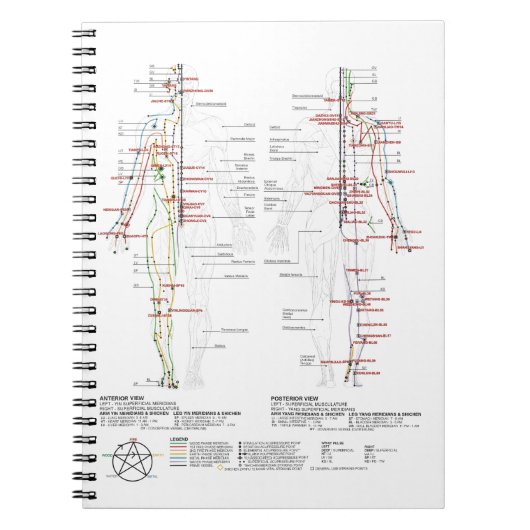 経絡の図 ノートブック (正面)
