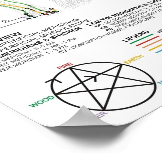 経絡の図 ポスター (角)