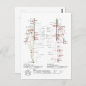 経絡の図 ポストカード (正面/裏面)