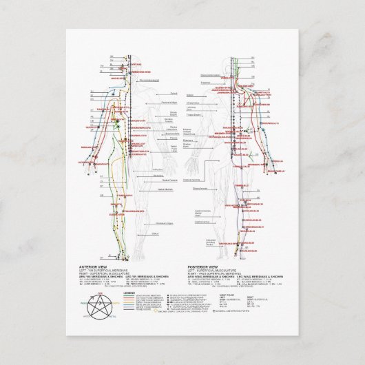 経絡の図 ポストカード (正面)