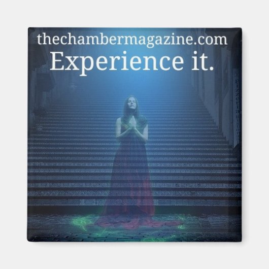 経験する マグネット (正面)