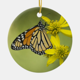 結ばれていない純度 セラミックオーナメント