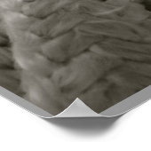 結び航海の目 ポスター (角)