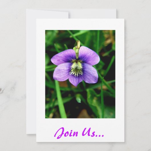 結合して下さい私達を… 誕生日の招待 招待状 (正面)