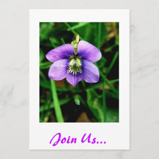 結合して下さい私達を… 誕生日の招待 招待状