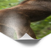 結合ムースカーブ フォトプリント            (角)