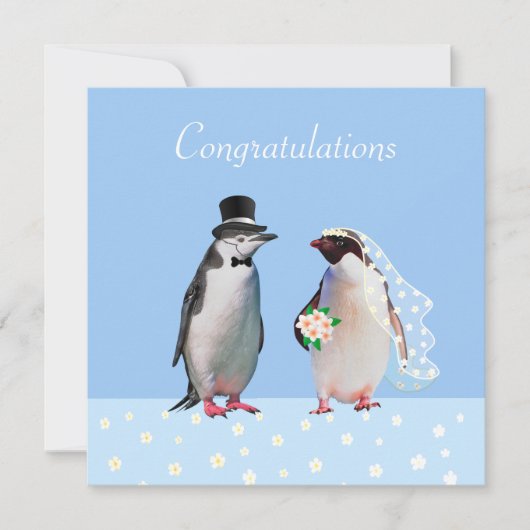 結婚おめでとう ペンギンのカップル (正面)