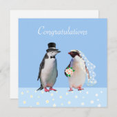 結婚おめでとう＆ペンギンカップル (正面/裏面)