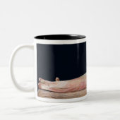 結婚したなカップルの石棺、525-500紀元前に ツートーンマグカップ (左)