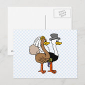 結婚したなOstrichs ポストカード (正面/裏面)