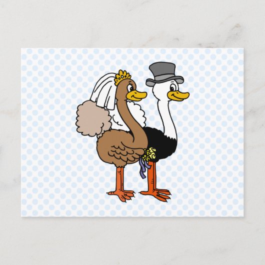 結婚したなOstrichs ポストカード (正面)