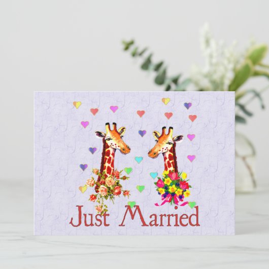 結婚するキリン 招待状 (スタンド正面)