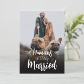 結婚する人間はデートを守る 招待状 (スタンド正面)