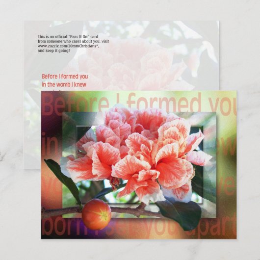 結婚する前に ポストカード (正面/裏面)