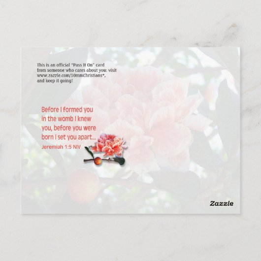 結婚する前に ポストカード (裏面)