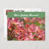 結婚だ！はがき日付を保存 案内ポストカード (正面/裏面)