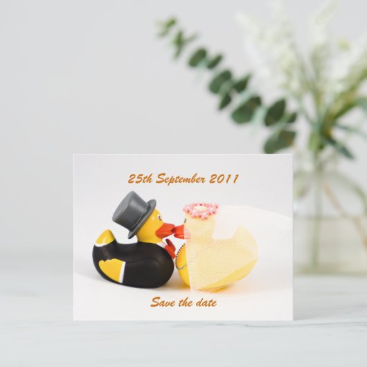 結婚のアヒル…ポストカード 案内ポストカード (スタンド正面)