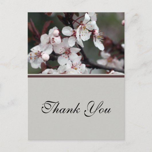 結婚の感謝していステッカーやカードなど ポストカード (正面)