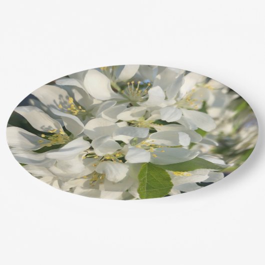 結婚の花9"紙プレート ペーパープレート (アングル)