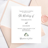 結婚の青緑の離れ銀貨の予算