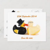 結婚ダック3...ポストカード 案内ポストカード (正面/裏面)