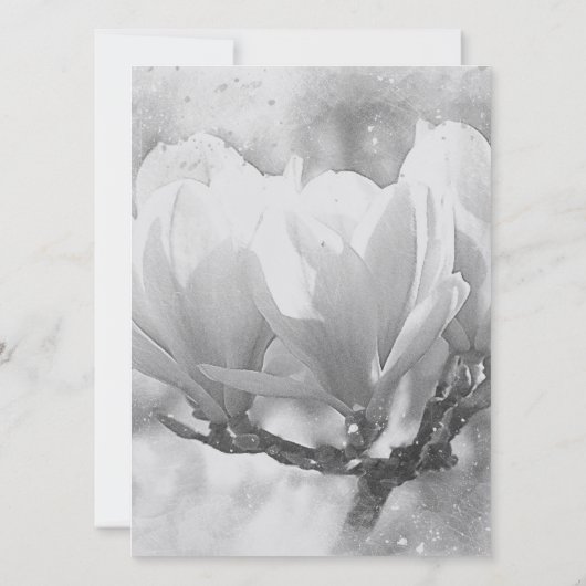 結婚プロフェッショナルスクラシカルカイブルー セーブザデート (裏面)