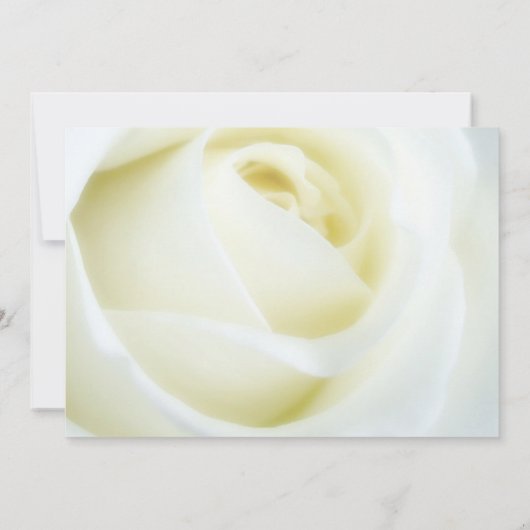 結婚周年記念招待状 招待状 (裏面)